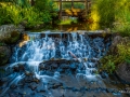 Waterfall Gold Coast Botanical Gardens